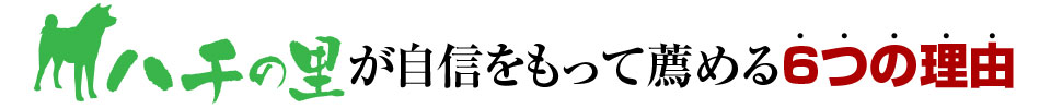 ハチの里が自信をもって薦める6つの理由