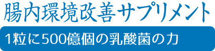 腸内環境改善サプリメント