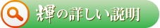 輝の詳しい説明ページへのリンクボタン