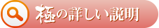 極の詳しい説明ページへのリンクボタン