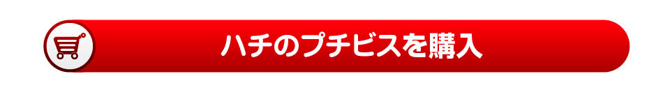 プチビスを購入