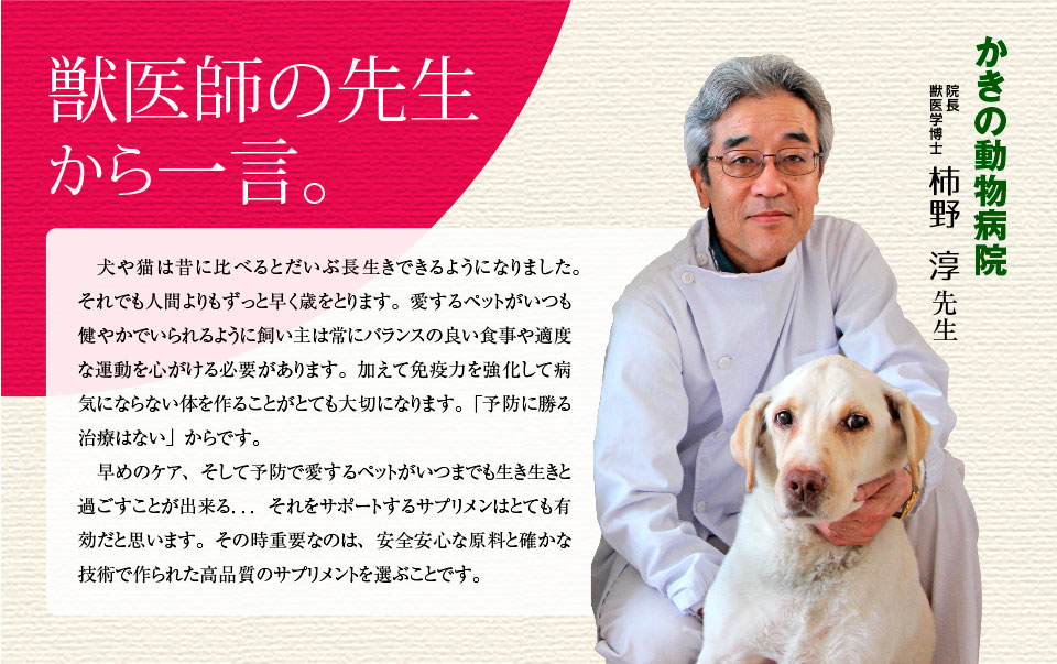 獣医の先生からのコメント